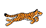 Running_Tiger_Animated.gif